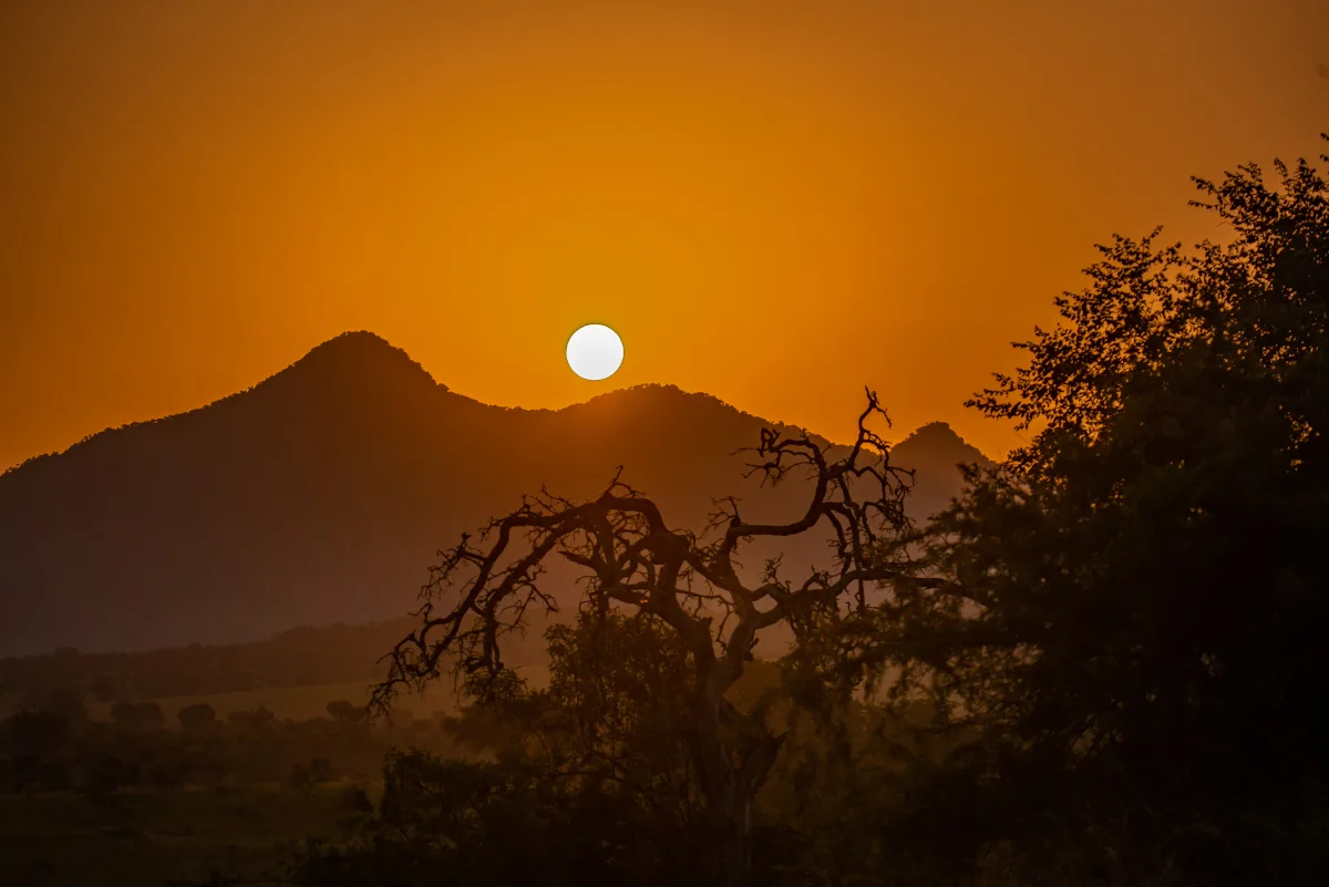 16 Days Ultimate Uganda & Rwanda Fly-In Wildlife Safari