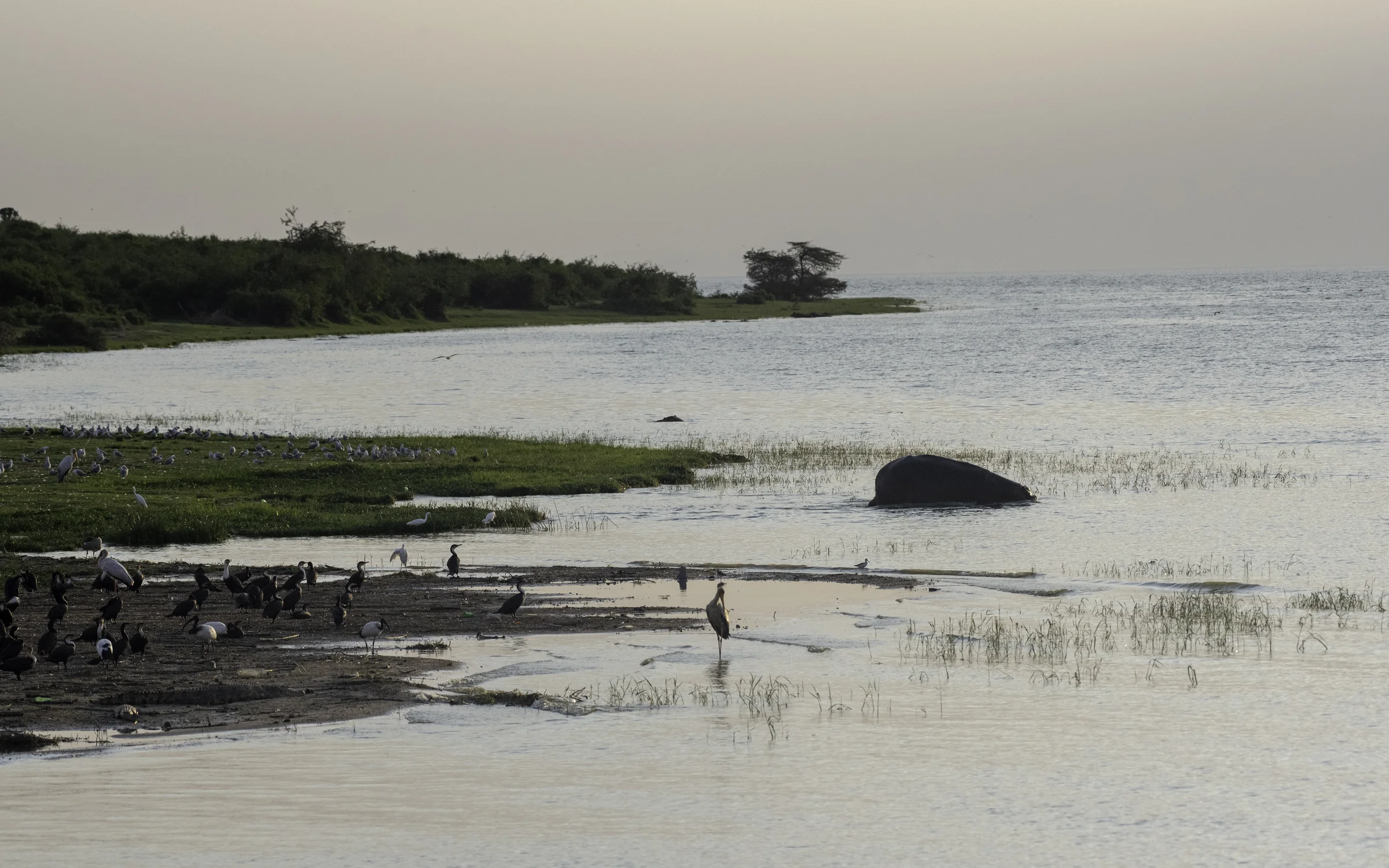 Fishermen and fresh catch at the fish market near Queen Elizabeth National Park, Uganda