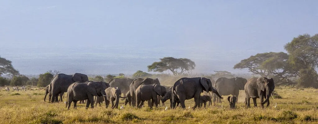 7 Days Tanzania Safari