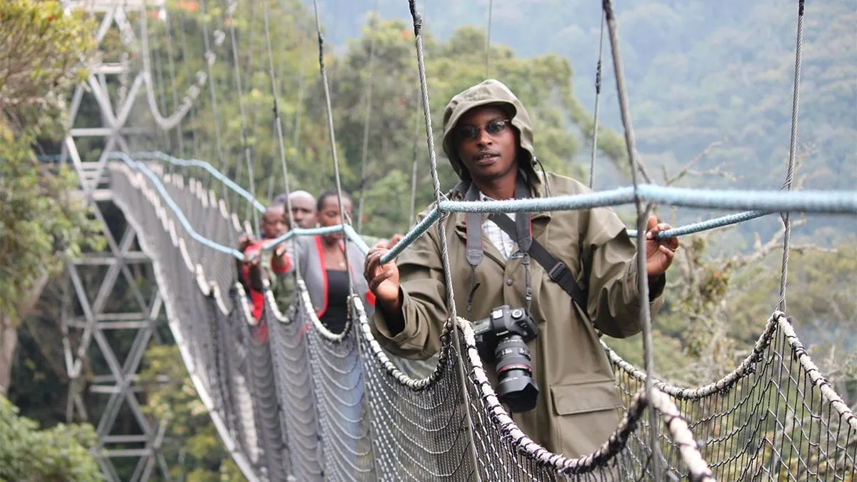 Canopy Walkway, Nyungwe Forest, Rwanda