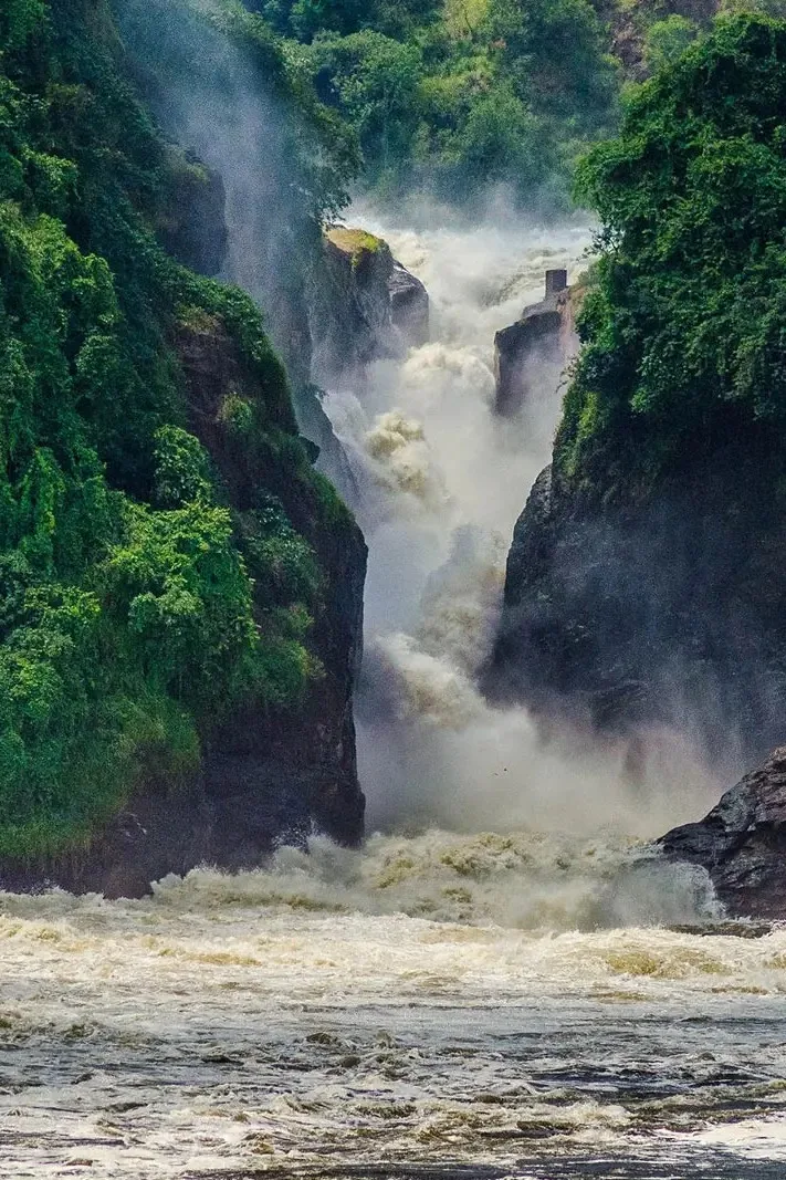 Uganda · Primate Safari