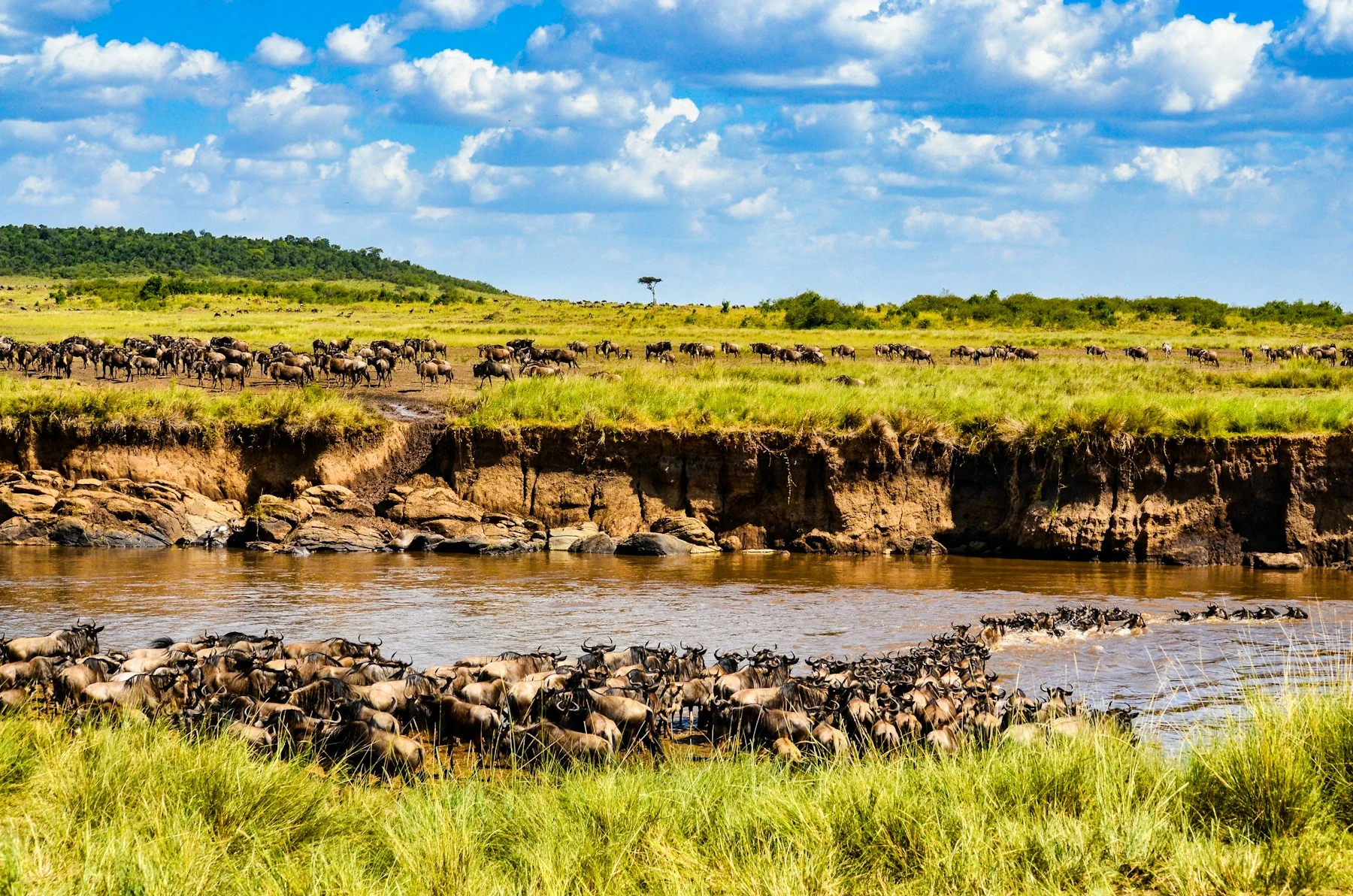 Masai Mara river landscape under open sky, Kenya — Orika Africa Tours