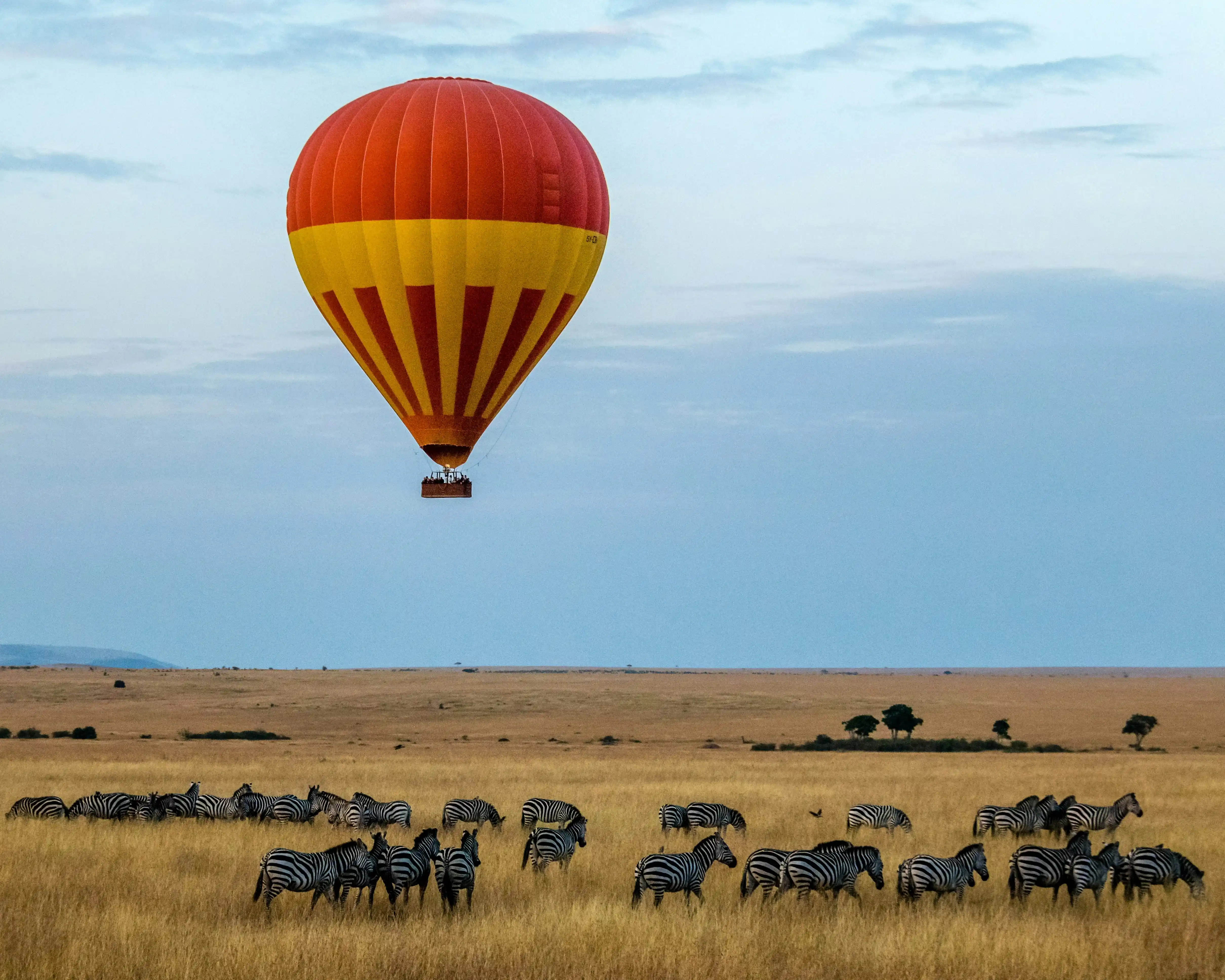 Elephant herd crossing the Serengeti plains, Tanzania — Orika Africa Tours