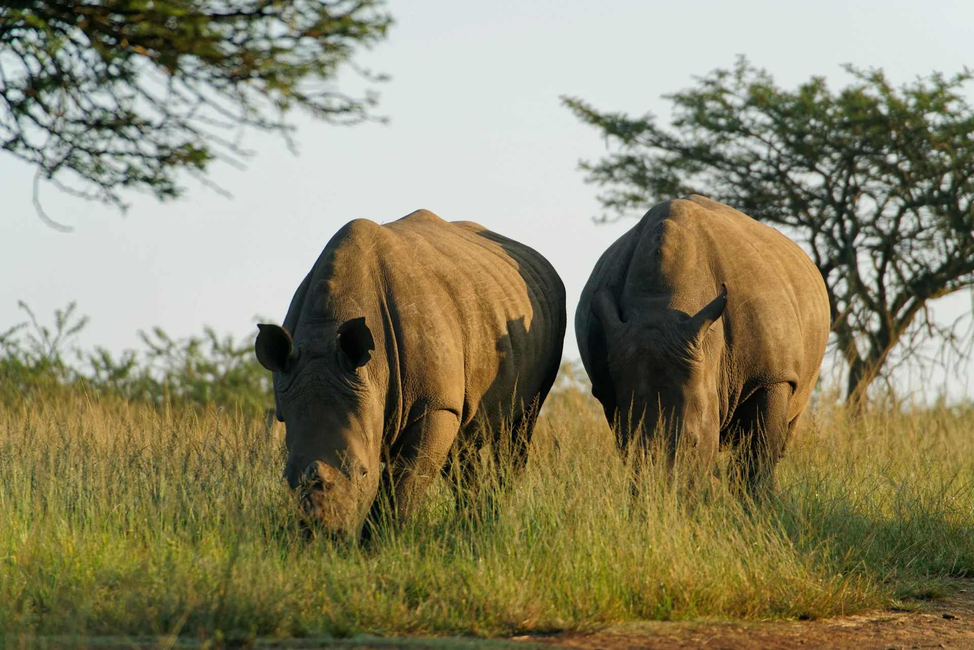10 Days Tanzania Classic Safari