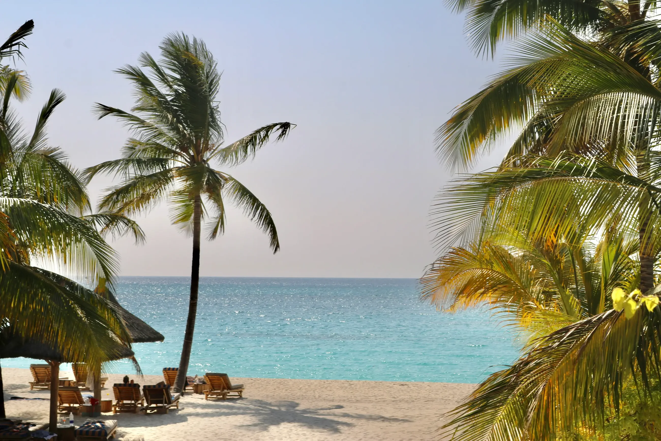 Palm-fringed white sand and turquoise water on the 10 Days Tanzania Wildlife & Beach Safari