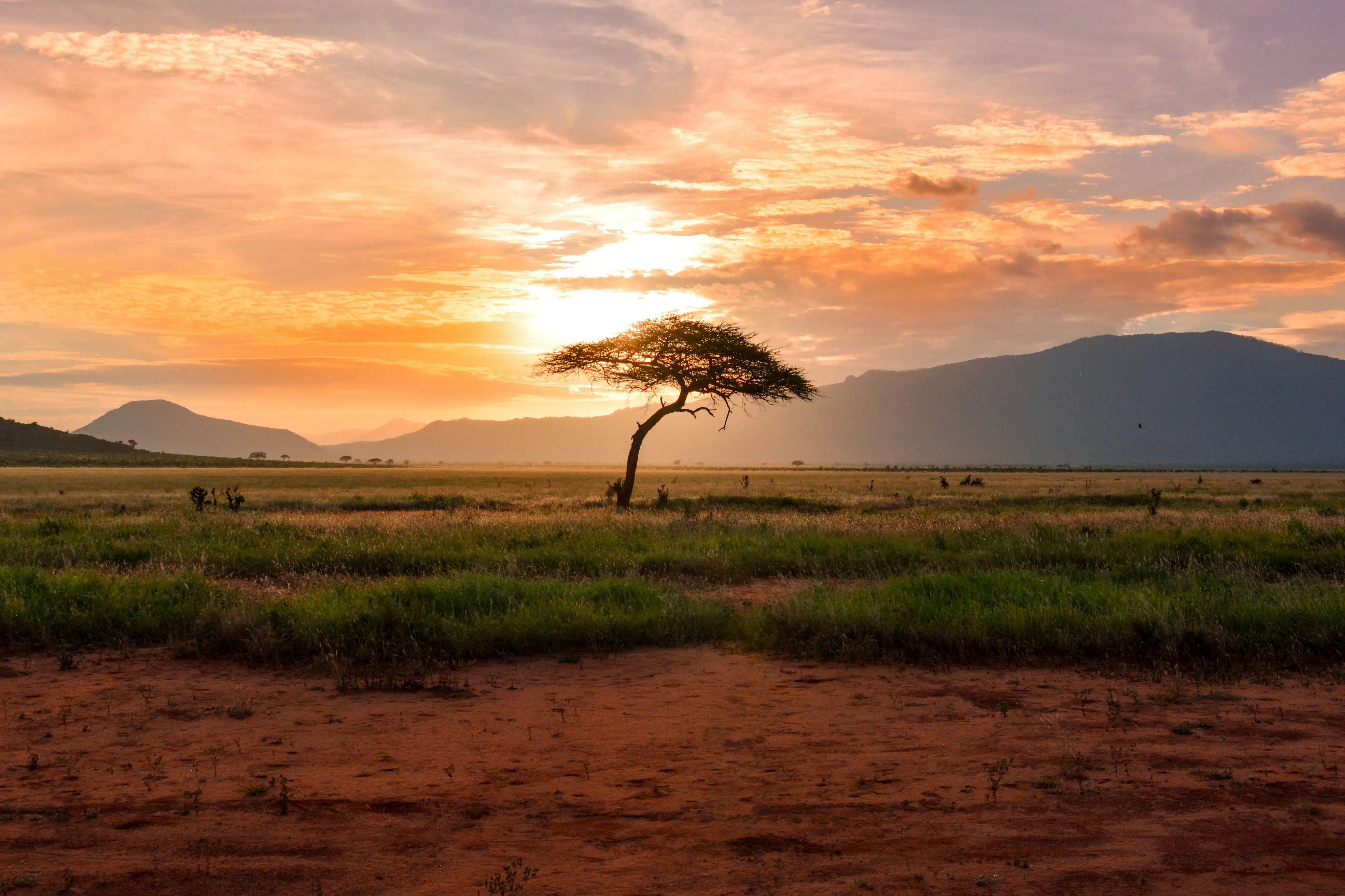 13 Days Secrets of East Africa Safari
