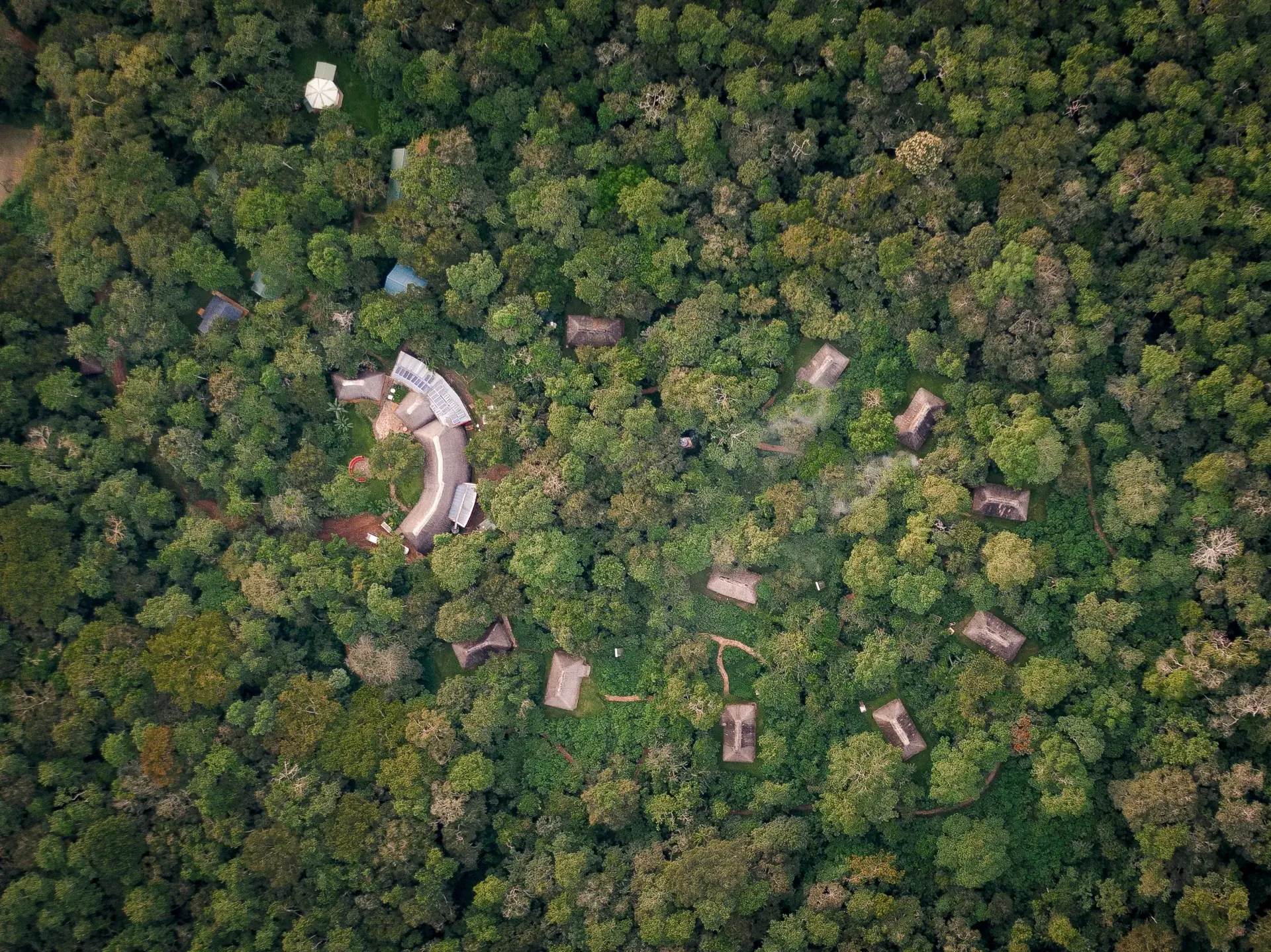 3 Days Fly-In Chimpanzee Trekking Safari