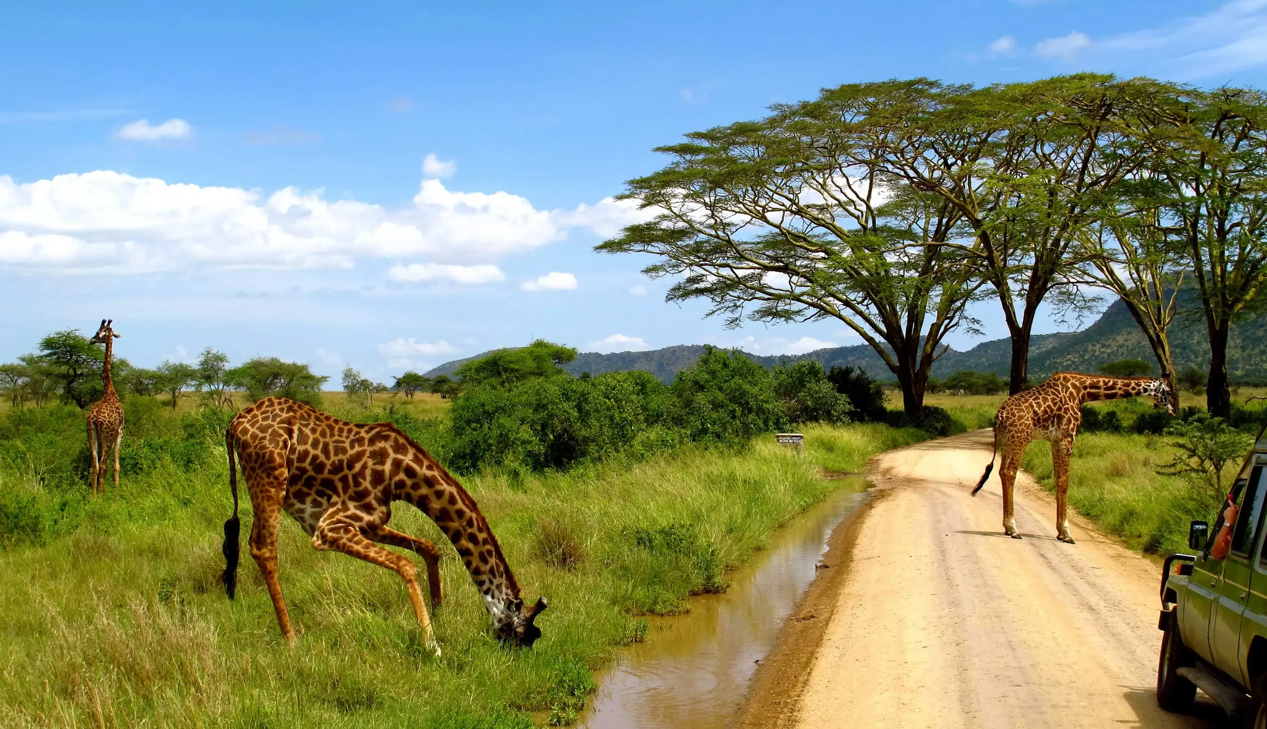 3 Days Tarangire Luxury Safari