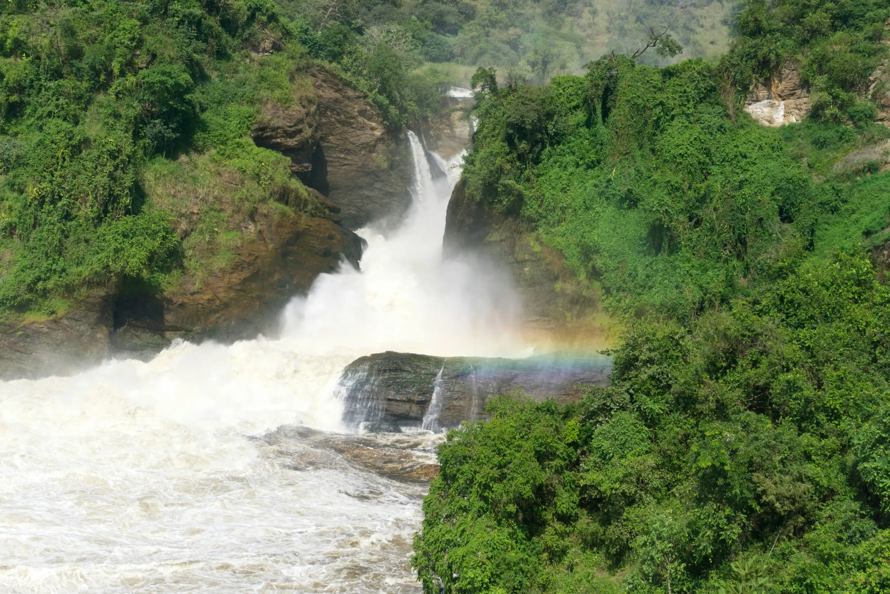 Elephants along the banks of the Nile, Murchison Falls, Uganda — Orika Africa Tours