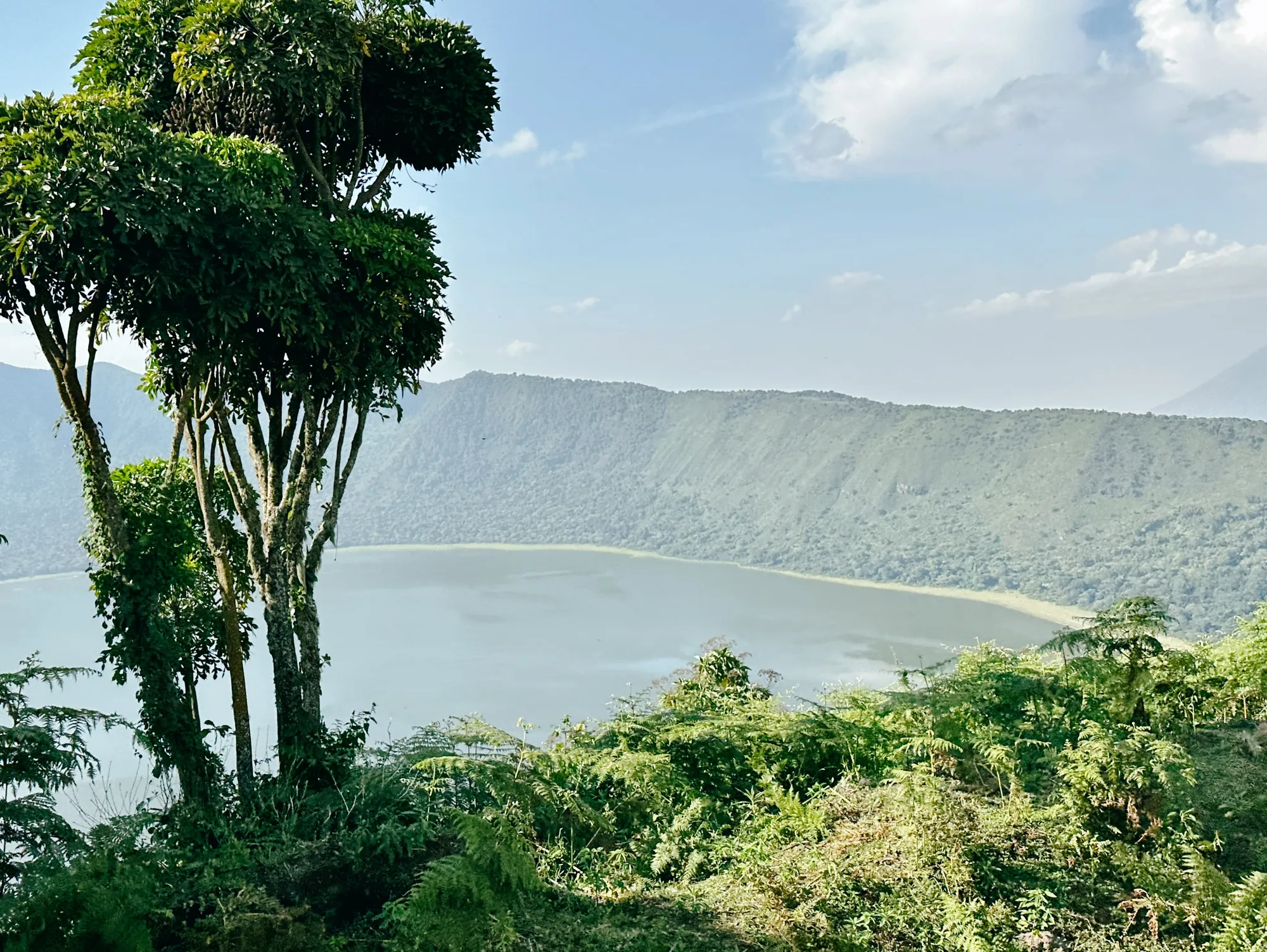 Highland crater lake and forested slopes on the 5 Days Rwenzori Mahoma Loop Trek