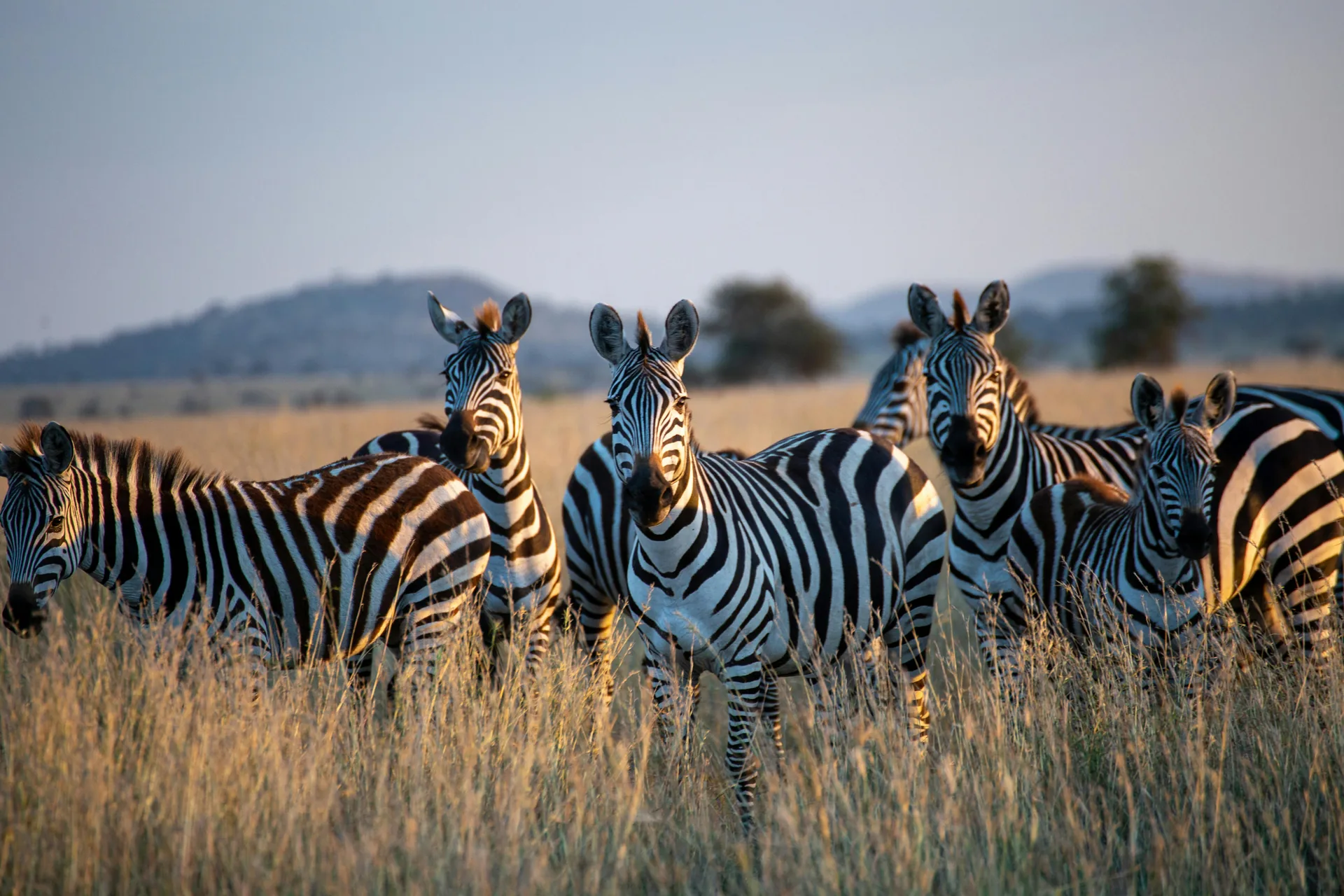 7 Day High-End Honeymoon Adventure