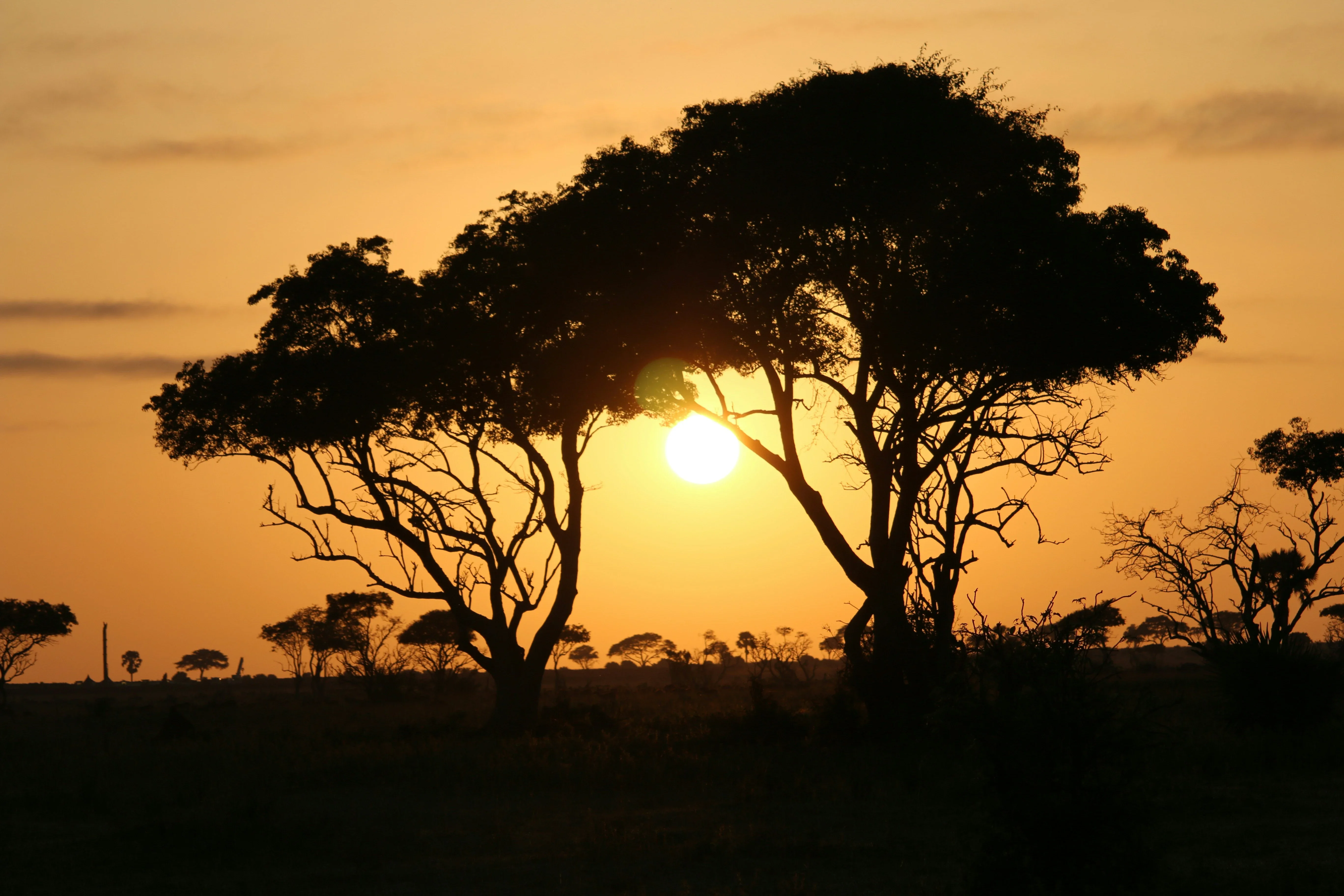 Mount Elgon trekking adventure Uganda