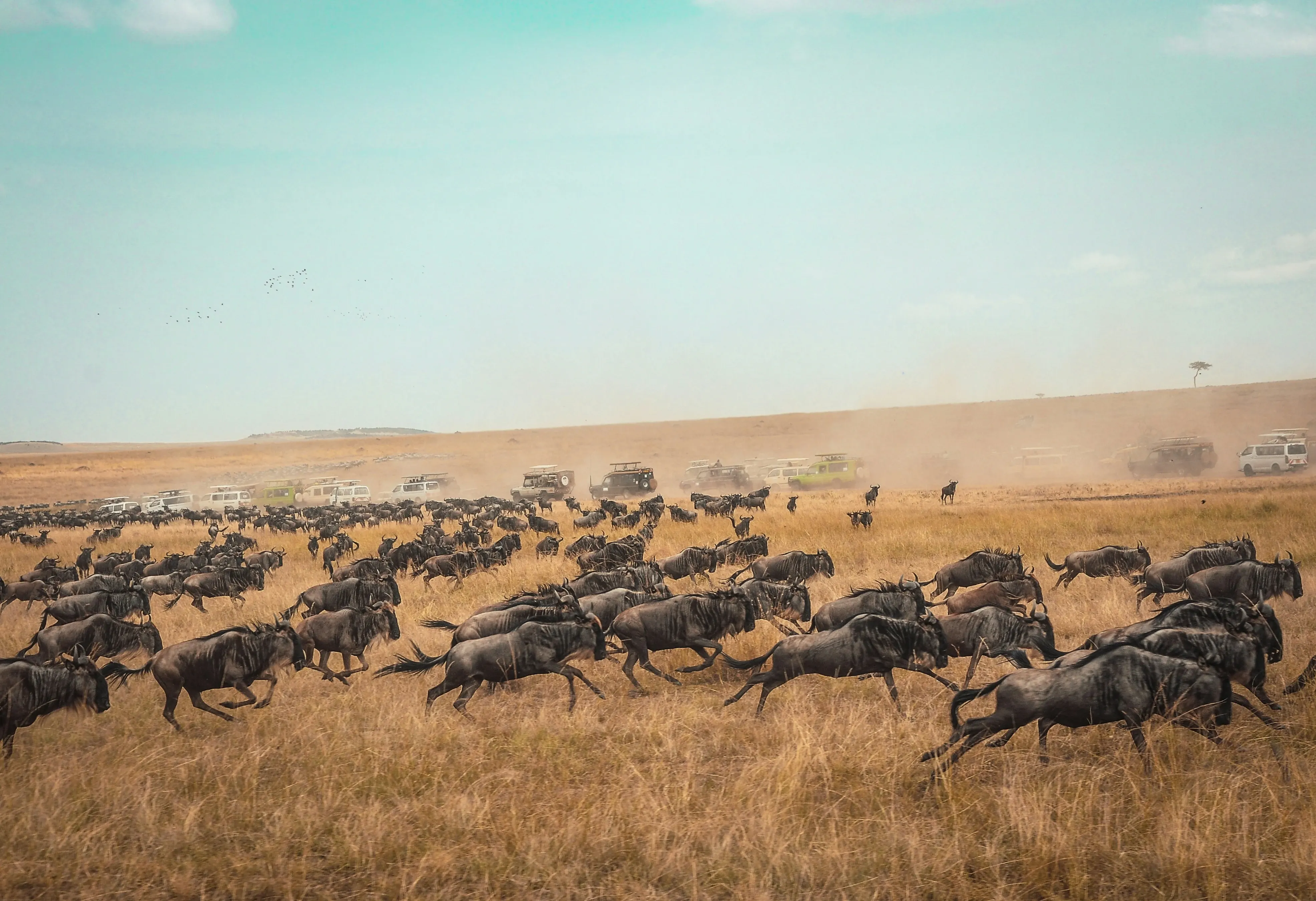 8 Days Family Safari in Kenya